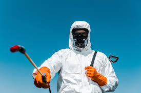 Professional Pest control in Covington, VA